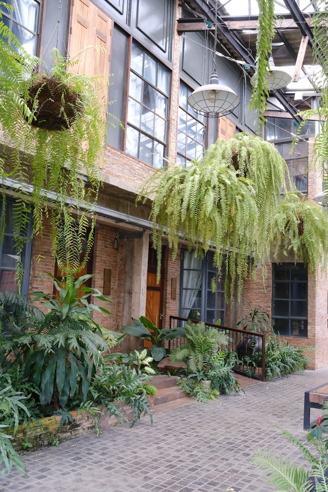 Hanging ferns under the glass roof of the PX122 courtyard, with brick walls and steel-framed windows