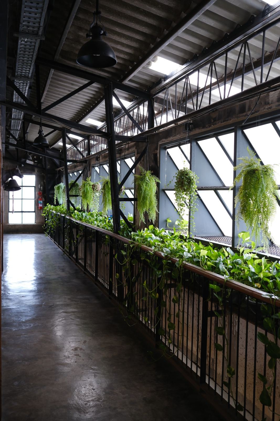 Upper walkway under the steel roof with planter boxes